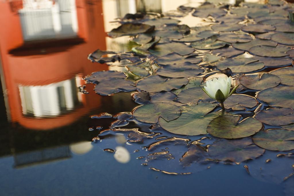 Szonyi Garden Hotel Pest Budapest Bagian luar foto