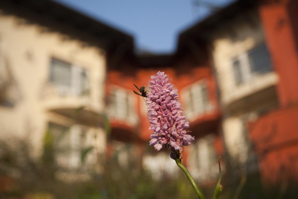 Szonyi Garden Hotel Pest Budapest Bagian luar foto